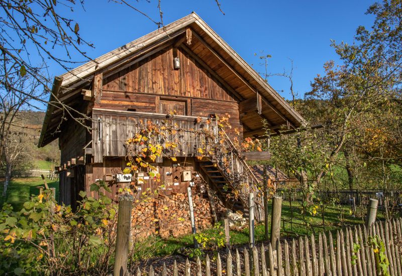 Führung und Workshop im Kreisobstlehrgarten am 13. September 2025