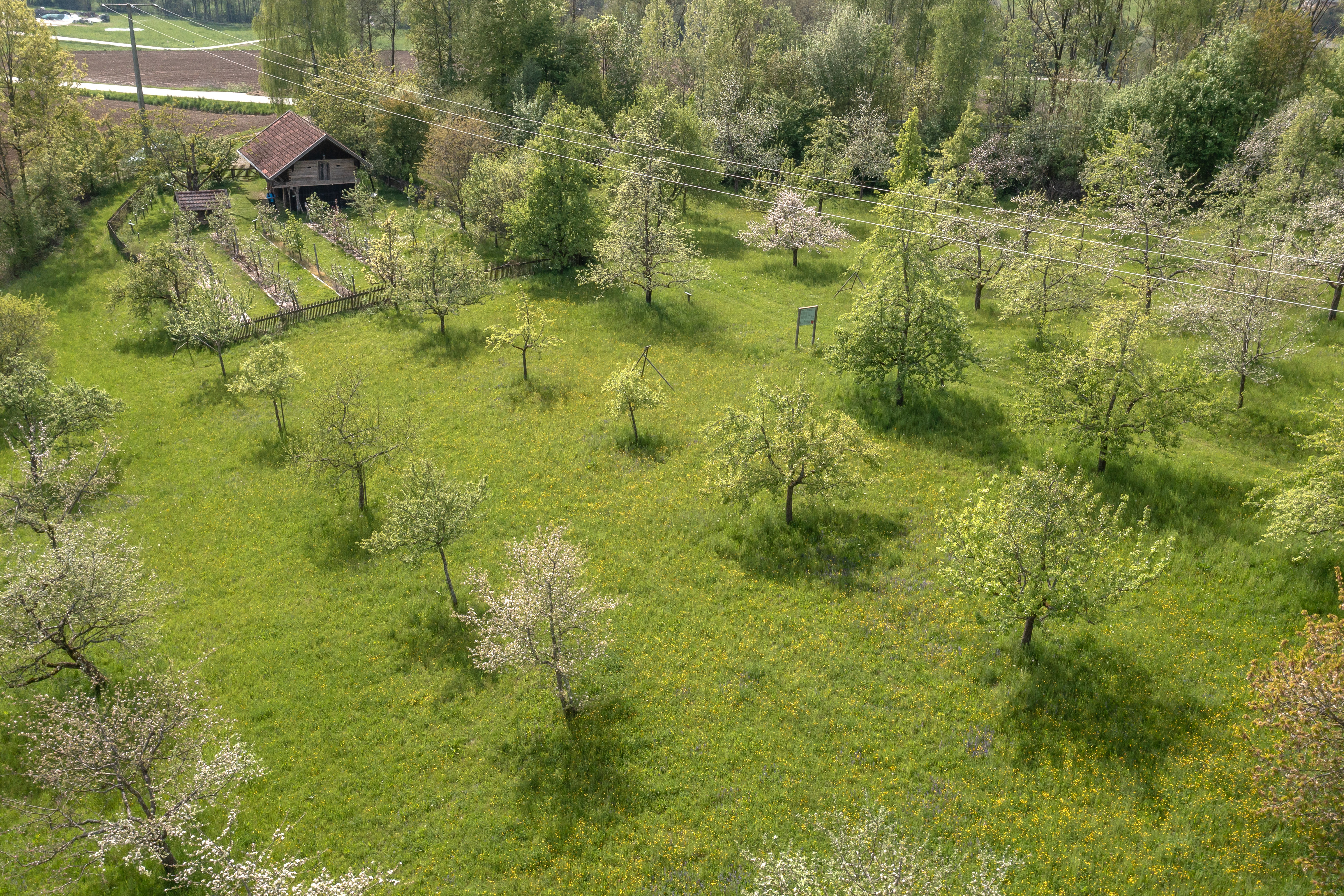 Kreisobstlehrgarten Hütte