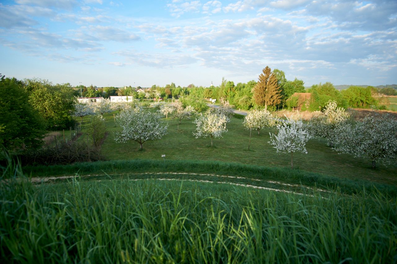 Führung durch den Labertaler Obstlehrgarten am 20. September 2025
