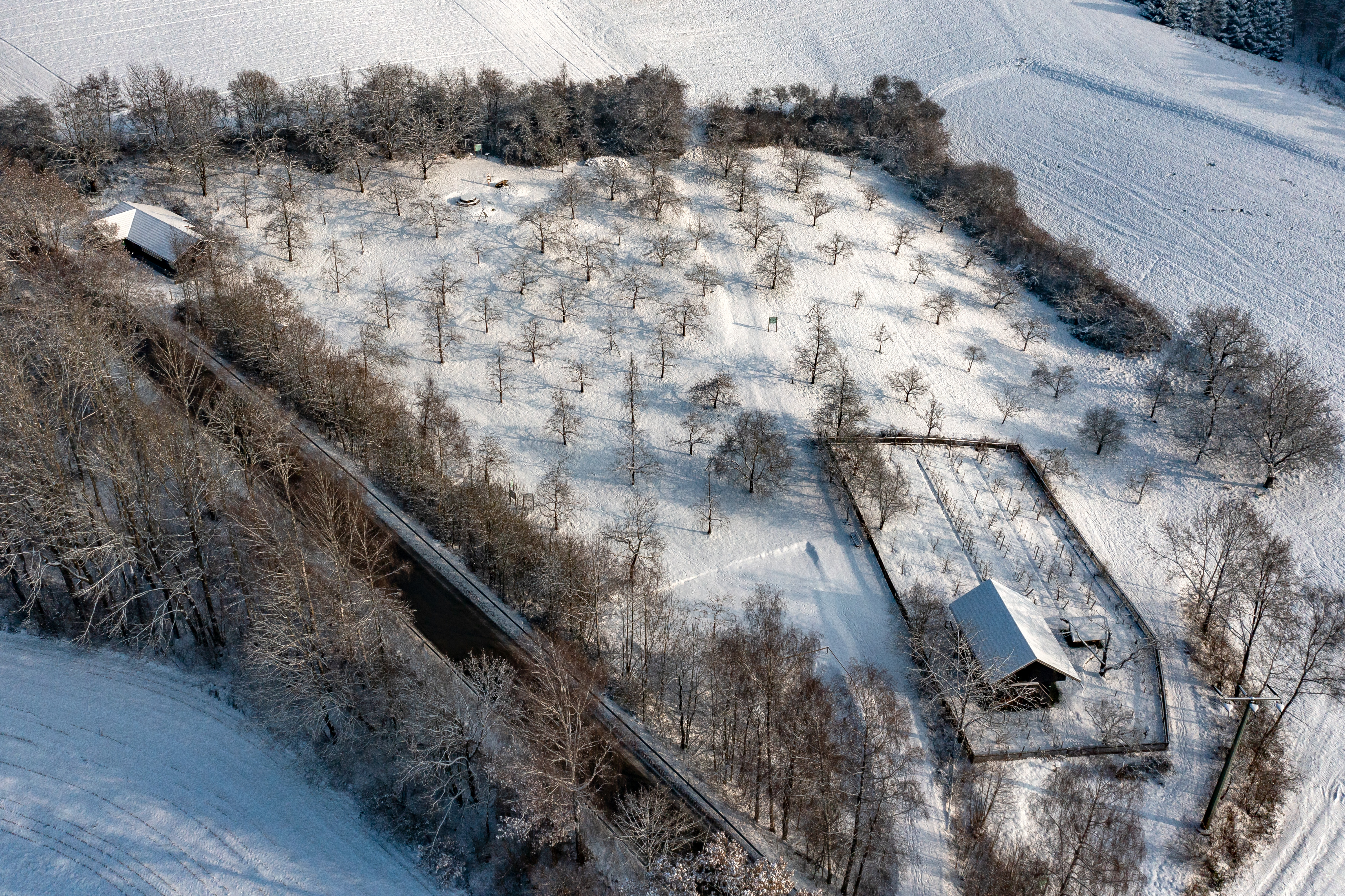 Kreisobstlehrgarten Garten