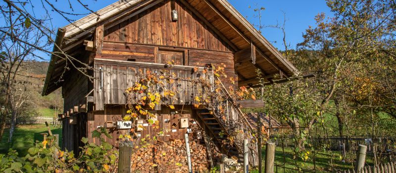 Führung und Workshop im Kreisobstlehrgarten am 13. September 2025