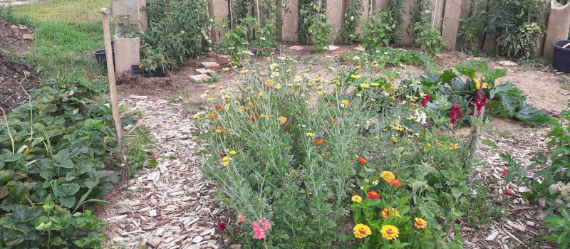 Naturgartenbesichtigung in Haid bei Leiblfing