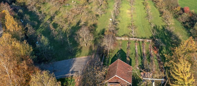 Entdeckertour für die ganze Familie im Kreisobstlehrgarten Neukirchen