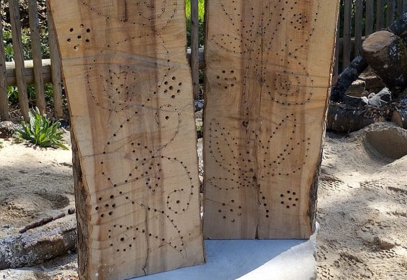 Workshop: Staudenbeet mit Sandarium und Insektenhotel