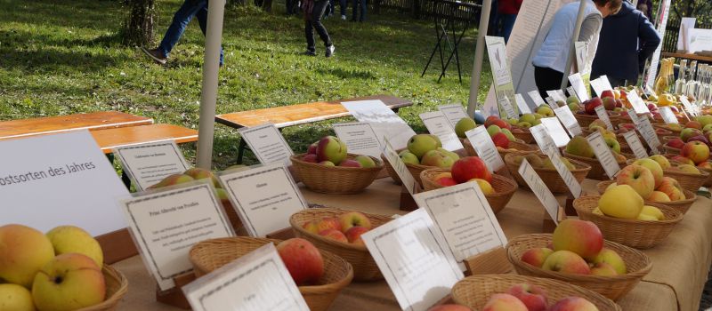 Obst- und Schmankerlmarkt