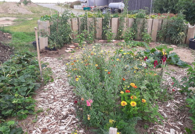 Naturgartenbesichtigung in Haid bei Leiblfing