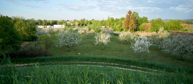 Führung durch den Labertaler Obstlehrgarten am 20. September 2025