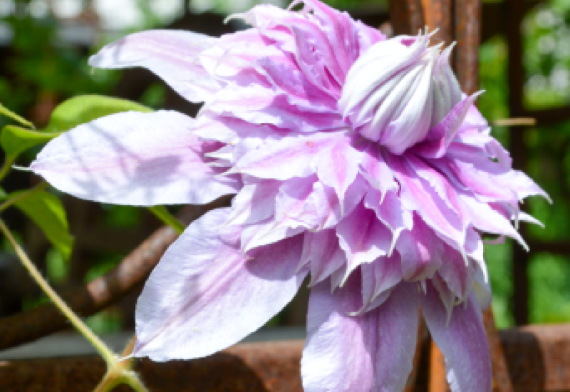 Gästeführer Gartenerlebnis Bayern