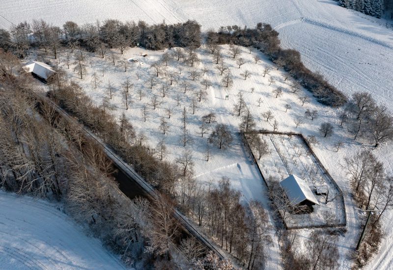 Reiserschnitt und-tauschtag