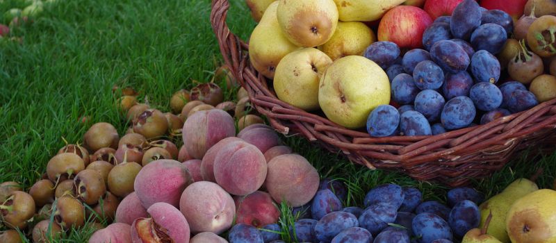 Obstbörse