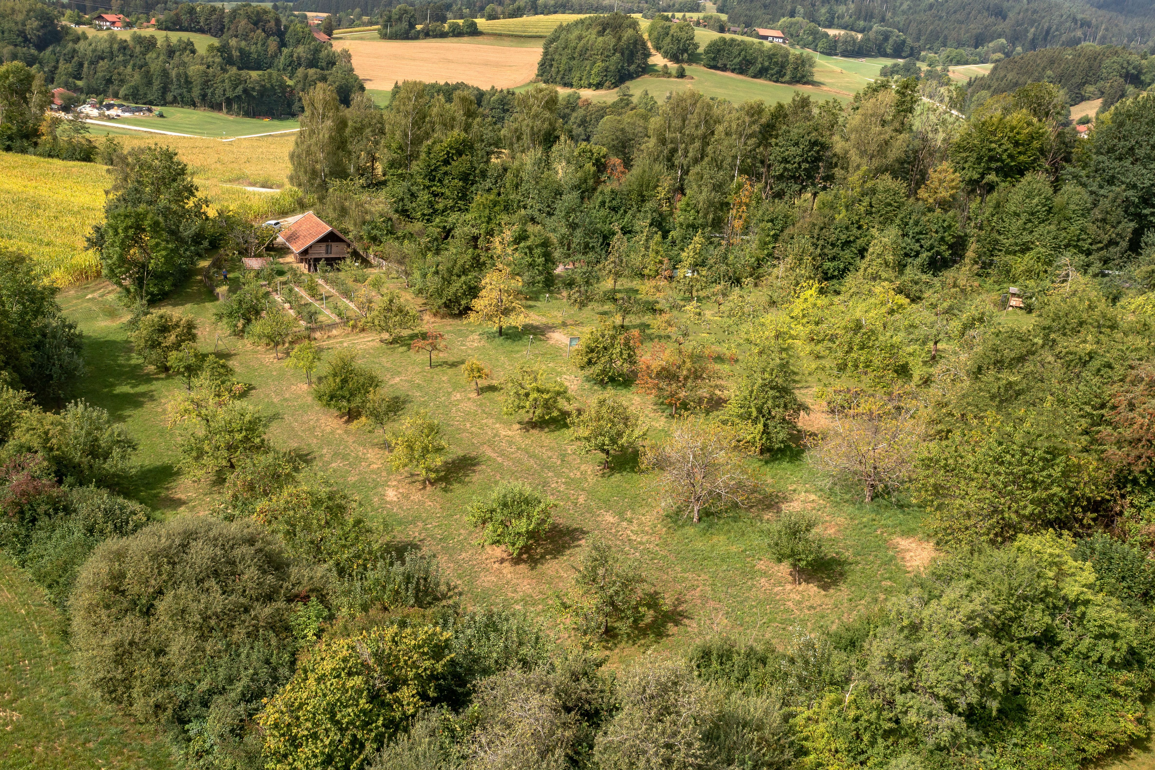 Kreisobstlehrgarten Garten