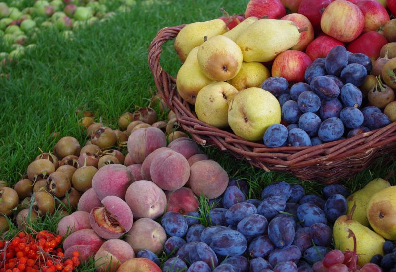 Gartenpflege-Spezialkurs