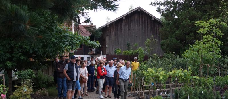Führung durch das Gehölzsortiment der Baumschule Naimer