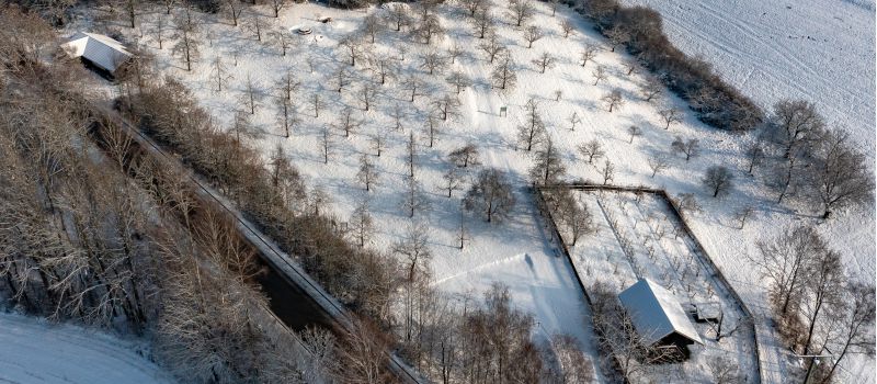 Reiserschnitt und-tauschtag