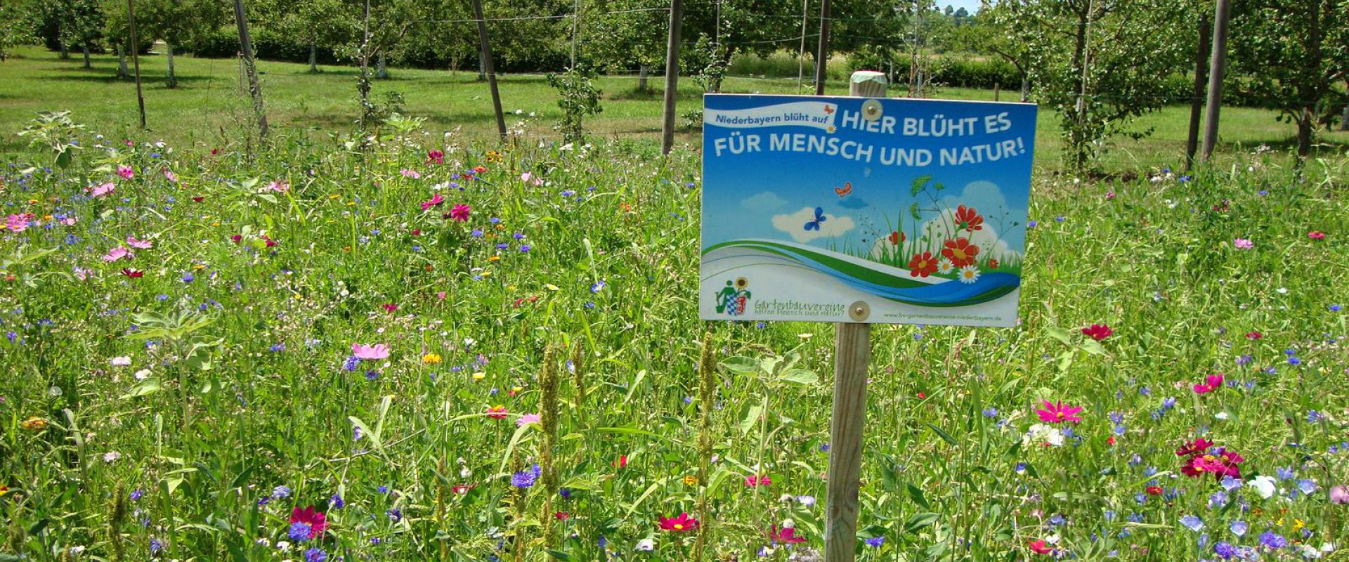 Hier blüht es für Mensch und Natur